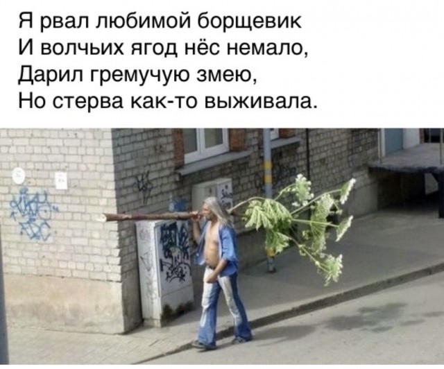 Так себе картинки 04.06.21