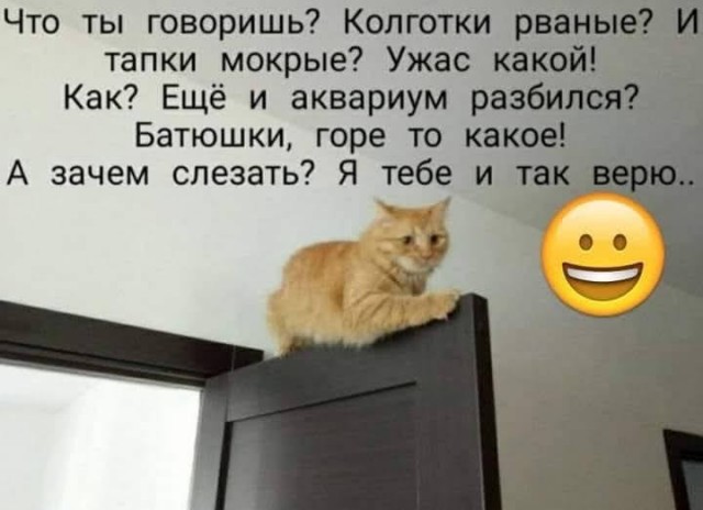 Всяческие картинки 16.06.2021