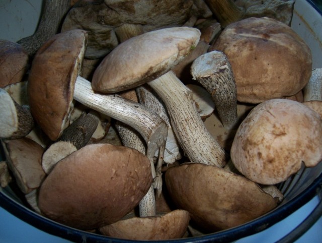 Кулинарная беседка