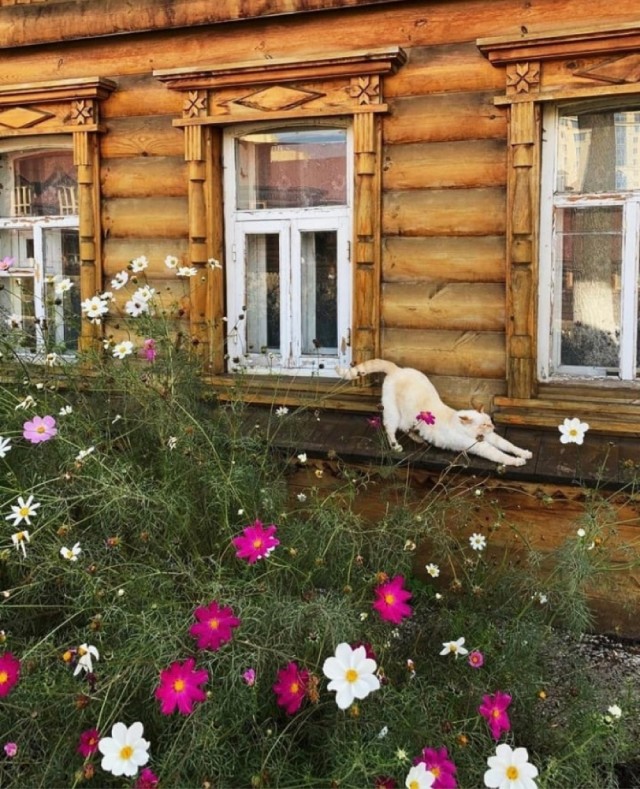 Так себе картинки 27.07.21