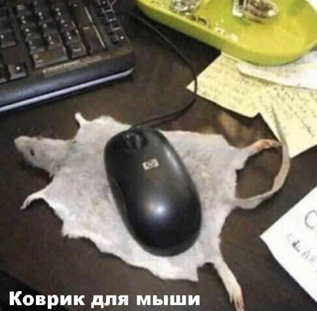 Картинки и мемы для настроения 28.07.2021