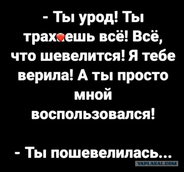 Весёлый полтишок 11.09