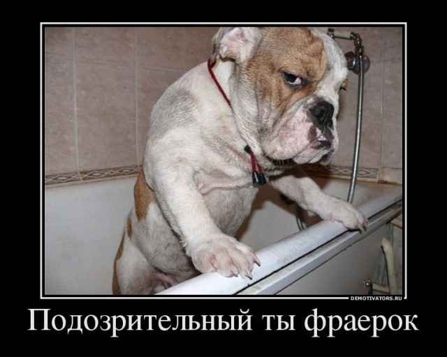 Мужики, съезжаться с девицей или нет?