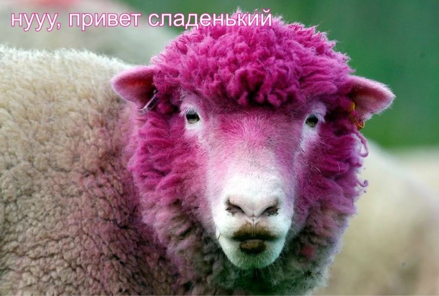Пацан к успеху шёл. Но появилась Наташа