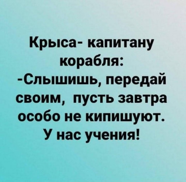 Всяческие картинки 15.11.2021