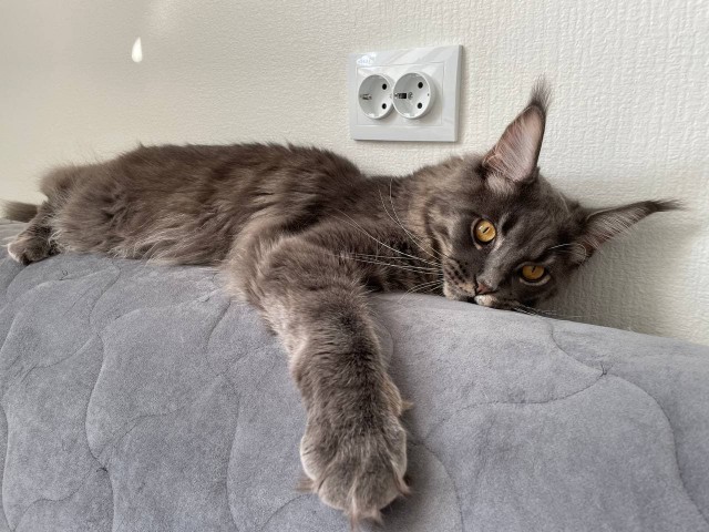 Котовторниковское
