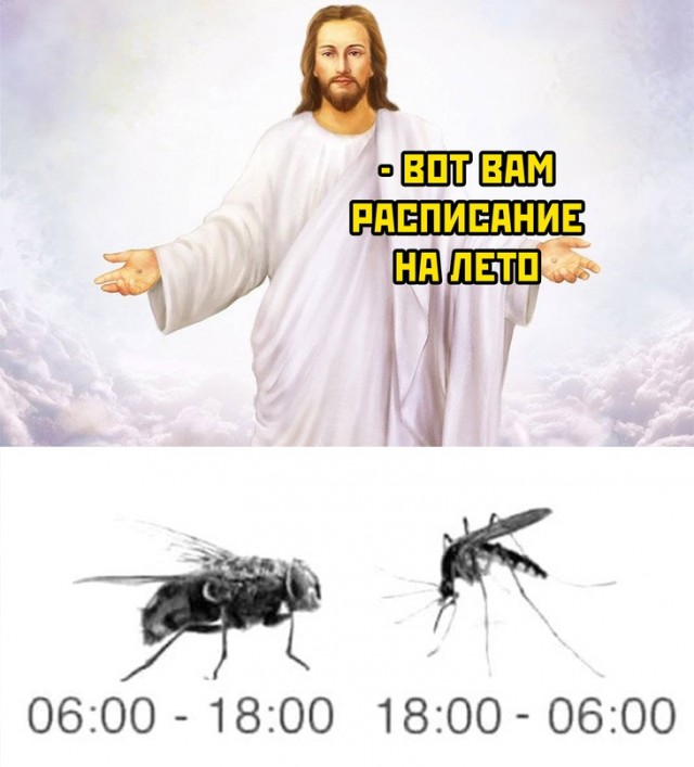 Весёлый полтишок 08.06.2022