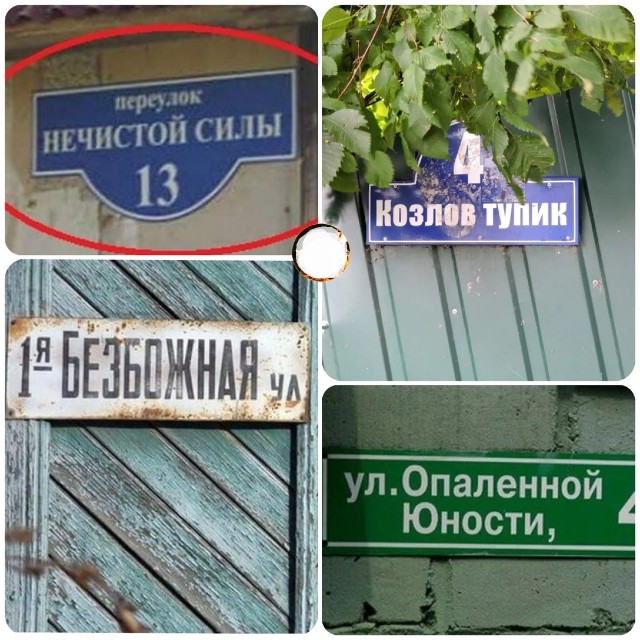 Так себе картинки 10.07.22