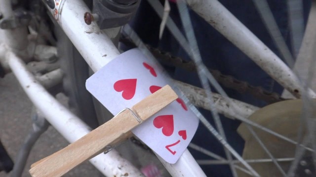 В Кабардино-Балкарии на велосипедиста попытались напасть два домашних пса, но его защитила бродячая собака