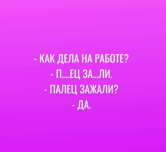 Весёлый полтишок 24.11.22
