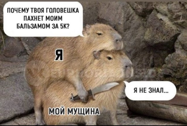 Немного картинок для настроения - 131