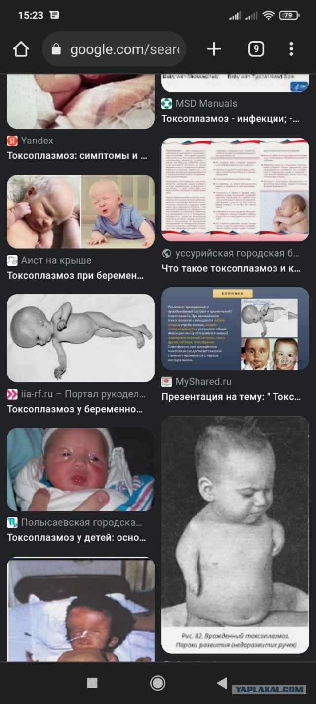 В ХМАО признали абсолютную неработоспособность «собачьего закона» Бурматова