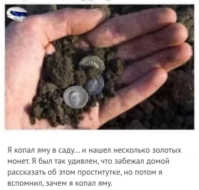 Чёрно-пошлая деградация на среду