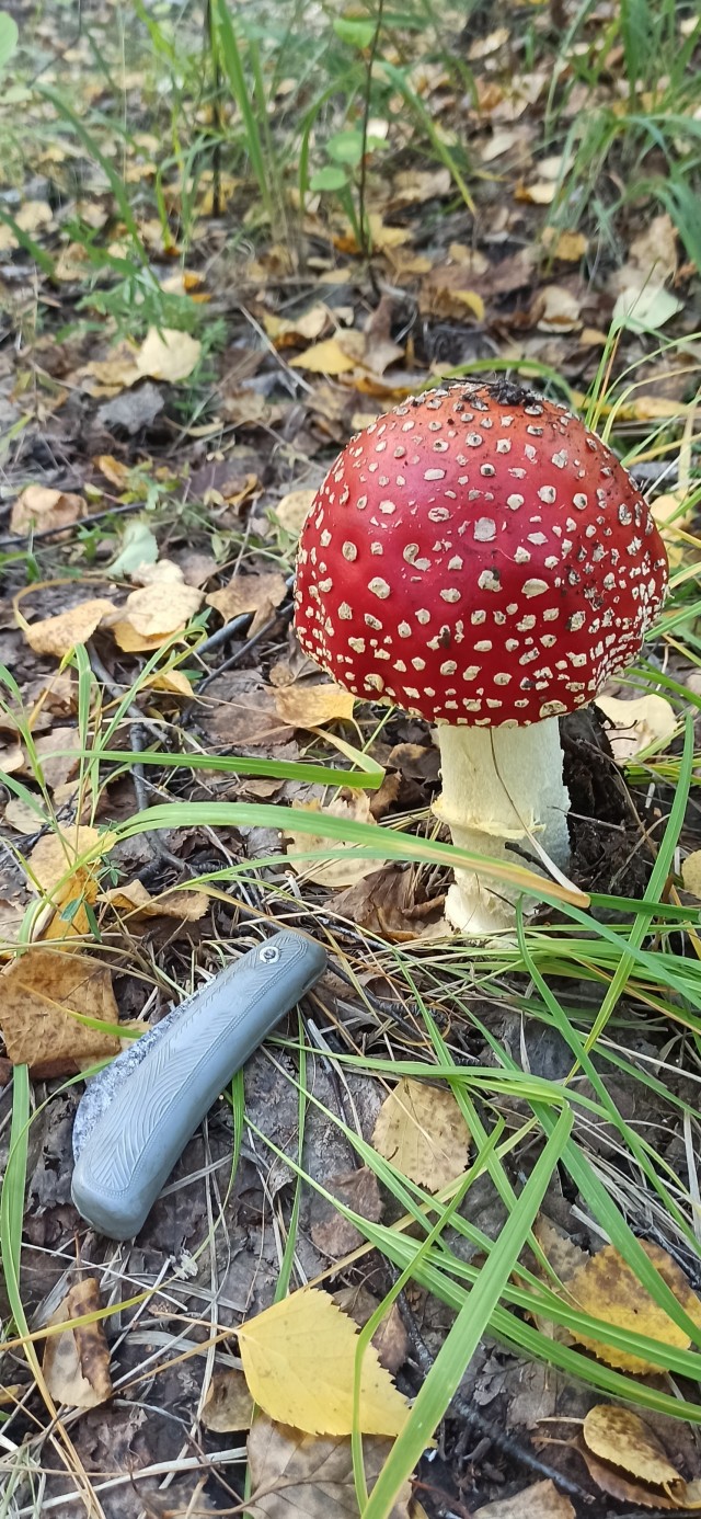 Природа. Урал