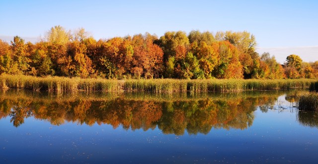 Краски осени