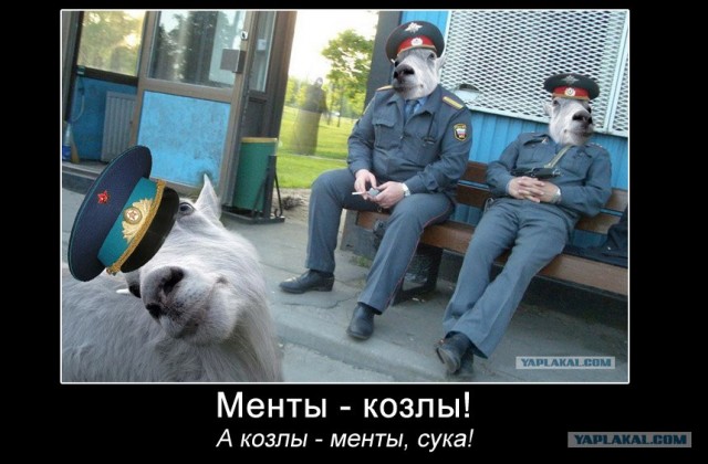 Три товарища