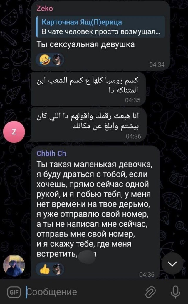В Екатеринбурге арабские студенты пригрозили побить и изнасиловать других учащихся