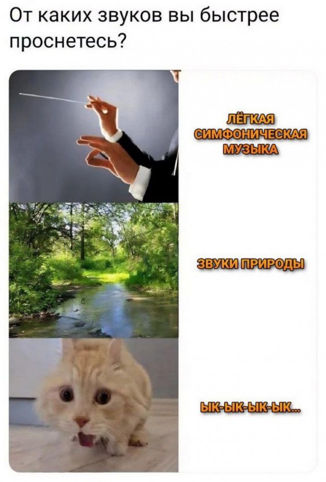 Картинки неразобранные ч.4
