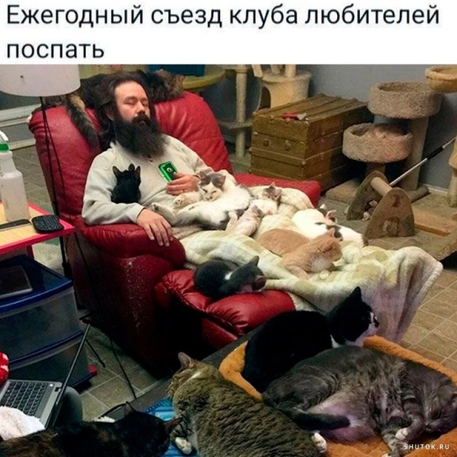 Так себе картинки 04.09.24