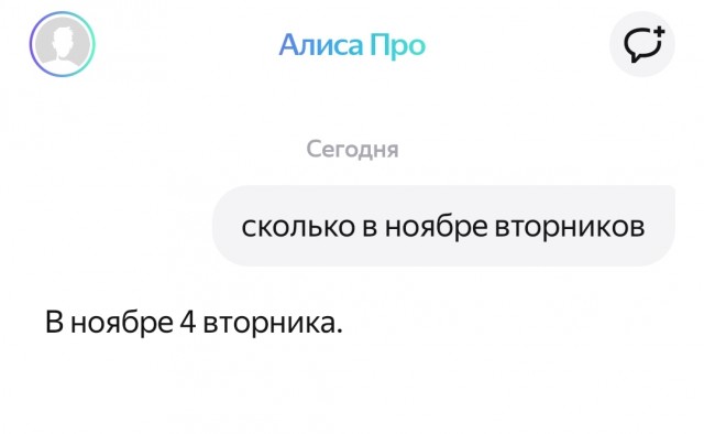 Алиса умная!!! Алиса что-то знает...