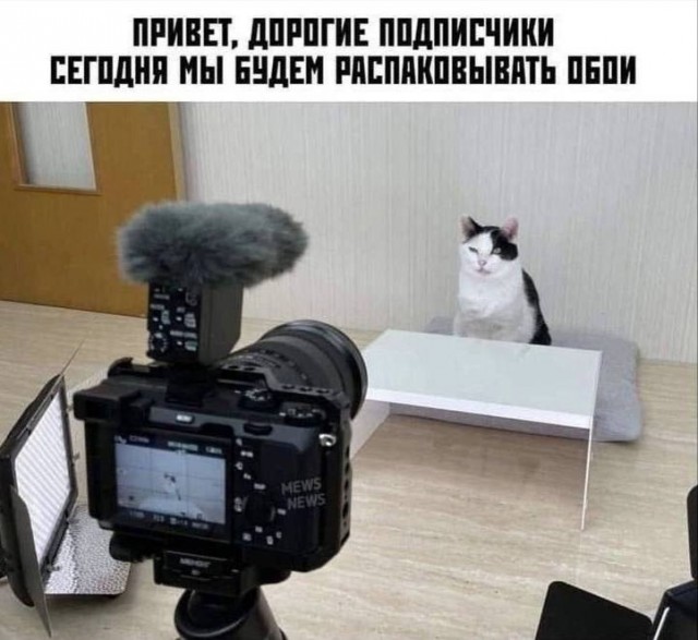 Так себе картинки 09.01.25