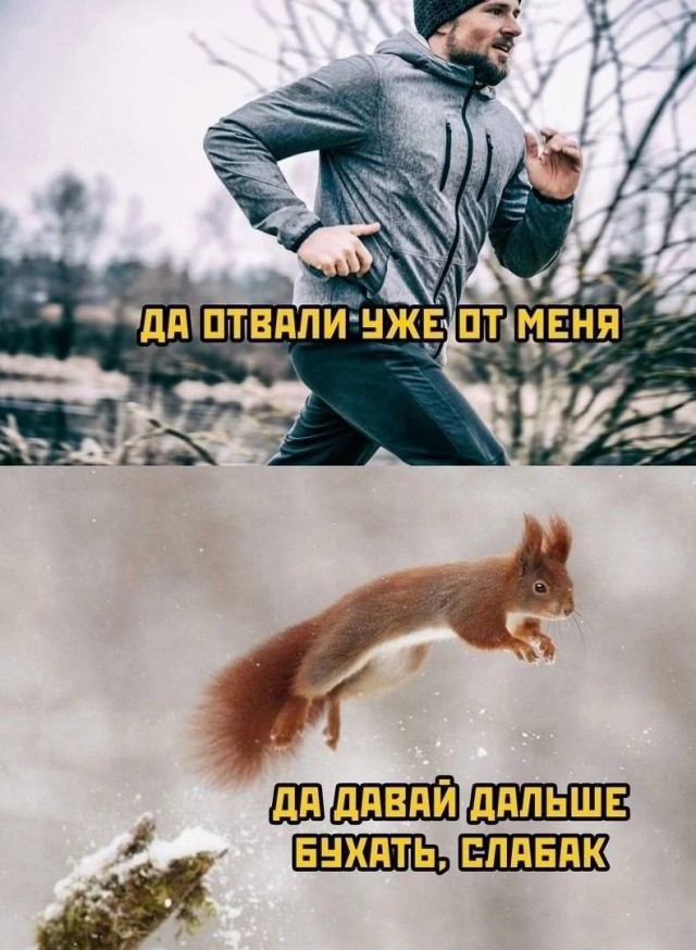 Даёшь деградацию - 3