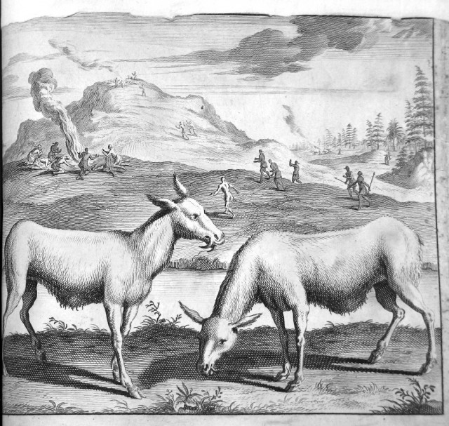 Николаас Витсен «Северная и Восточная Тартария», 1692 г.