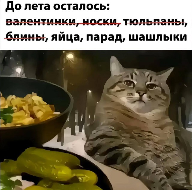 Завалялось тут случайно немного забавных картинок