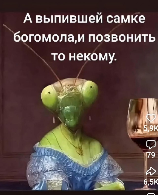 Весёлый полтишок 24.04.25