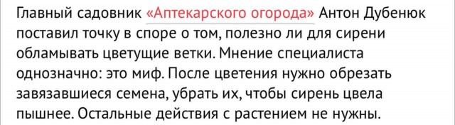 За сорванную сирень россиян могут оштрафовать на 80-500 тысяч рублей или отправить в тюрьму, напомнили юристы