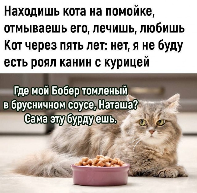 Так себе картинки 19.05.25
