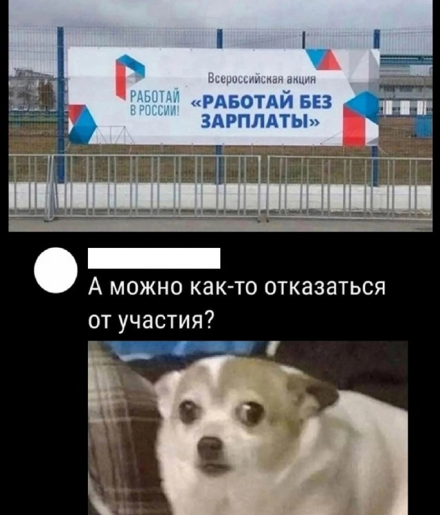 Так себе картинки 22.06.25