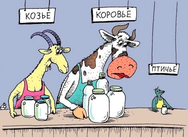 Так себе картинки 02.07.25
