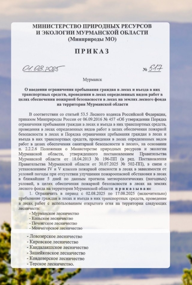 В Мурманске власти запретили жителям ходить в лес