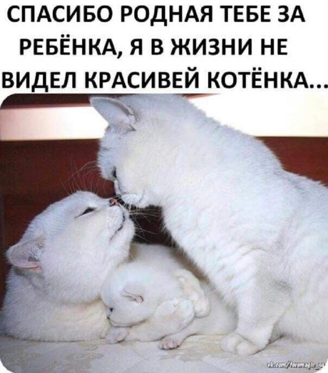 Так себе картинки 14.09.25