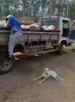 Спустя два стакана