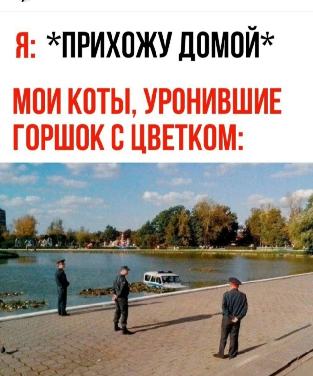 Смешнявых и не очень картинков пост