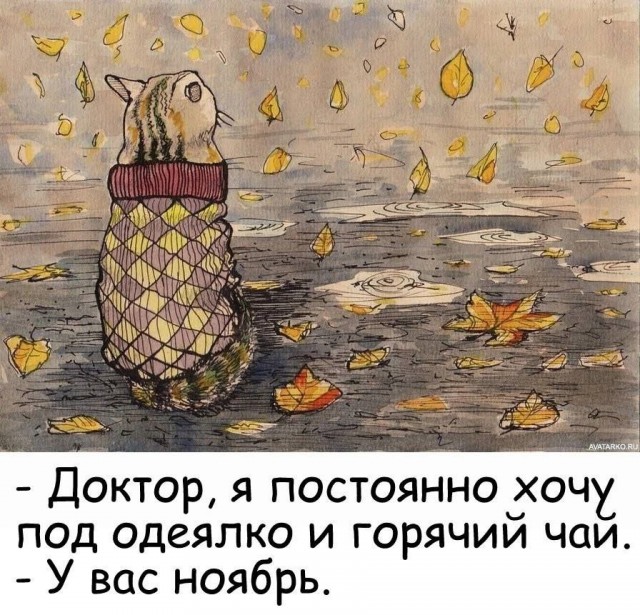 Так себе картинки 03.11.25