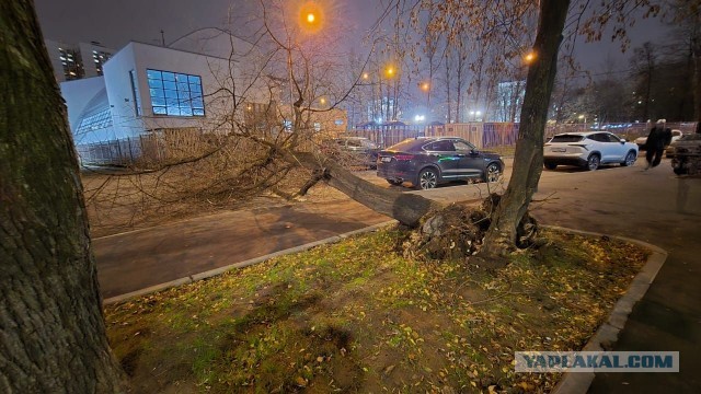 В Москве выпал первый снег. Фоторепортаж