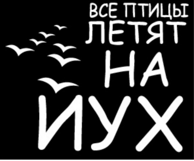 Оливье нельзя есть с водкой и полусладким шампанским