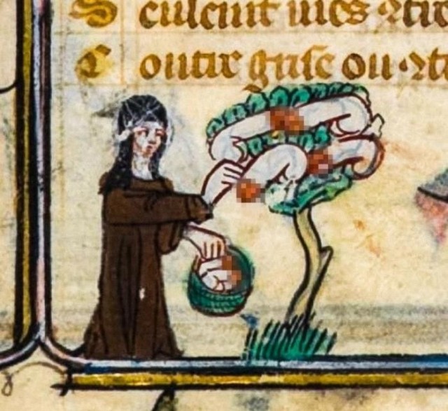 Забавные и не очень скромные картинки - 21