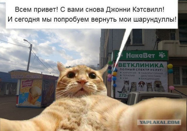 «Привет, я Джонни Ноксвилл, добро пожаловать в Jackass»