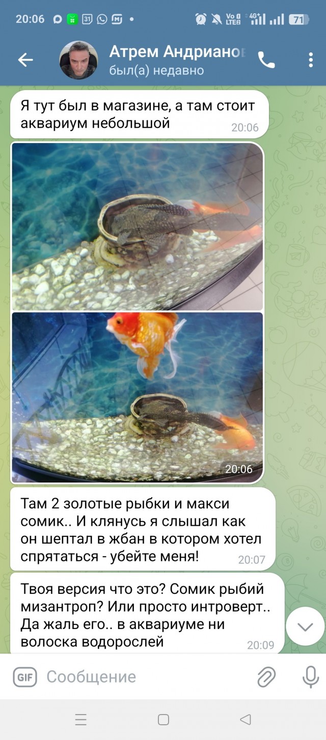 Прощай, Артем!