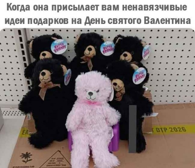 Веселое настроение в картинках (14.02.2025)
