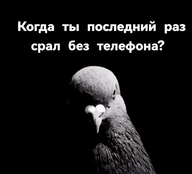 Пятничные картинки
