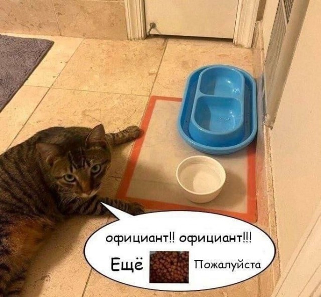 Субботние картинки