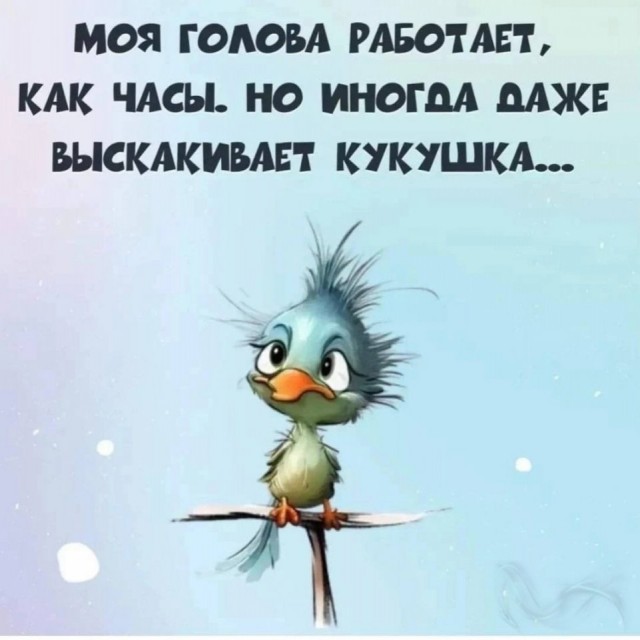 Прикольные и просто красивые картинки 03.04.2026