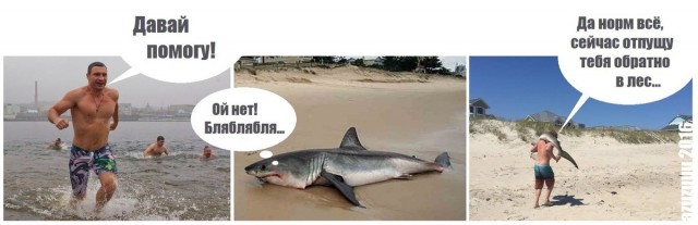 Убили 2-х омаров, коллеги!