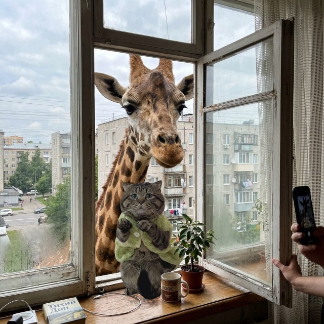 Фотожаба: Грустный котик