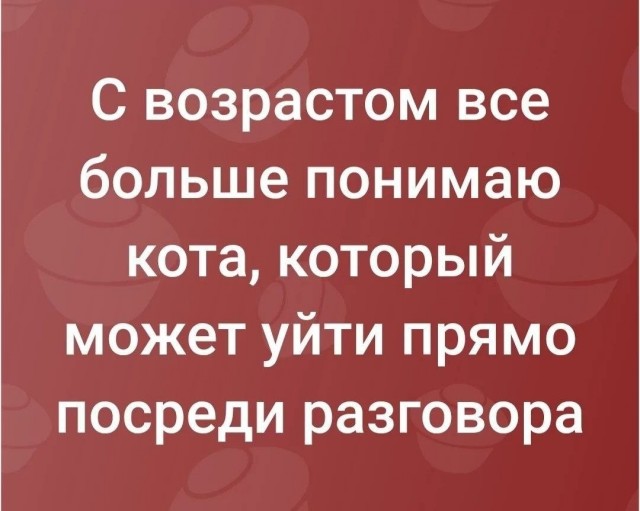 Картинки для деградации 234 (разной степени свежести)